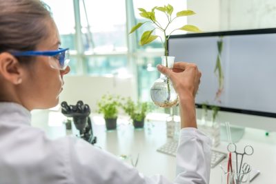 scientist-doing-research-on-plants-2023-11-27-05-17-59-utc